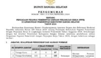 Pengumuman penerimaan formasi PPPK Kabupaten Bangka Selatan