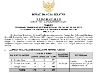 Pengumuman penerimaan formasi PPPK Kabupaten Bangka Selatan